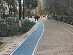 -苏州河梦清园环保主题公园