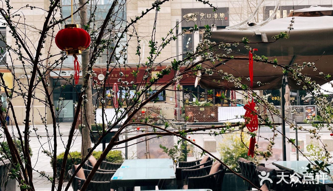 夏都小镇｜不是银杏季也同样美味的融合粤菜