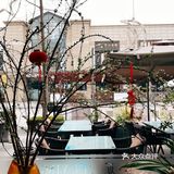 夏都小镇｜不是银杏季也同样美味的融合粤菜