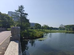 -尚贤河湿地