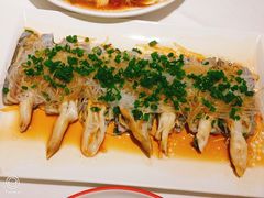 葱油竹蛏-小厨师·二十年沈家门小海鲜(百井坊巷店)