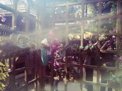 -南山植物园