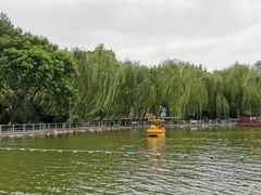-莲湖公园