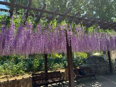 -静之湖湖畔餐厅