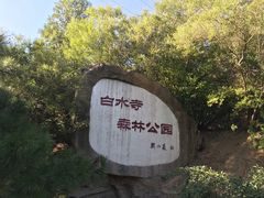 -白水寺森林公园