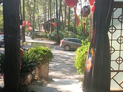 -小小饭店·休闲农庄·安吉松树林里的农家菜