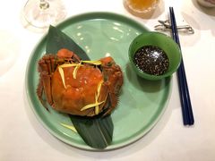-西郊5号·Maggie 5