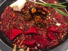 -黄潇洒老火锅(九眼桥宏济巷店)
