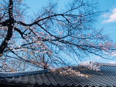 -东京国立博物馆