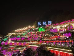 -枇杷园食为鲜火锅(南山店)