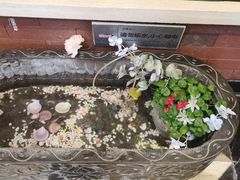 -城南往事·鲁菜济南菜(长清园博园恒大绿洲店)