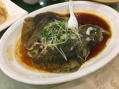 清蒸多宝鱼-螺涌海鲜酒楼(增槎路店)