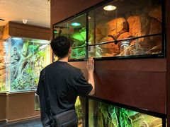 -帕帕拉兹宠物(亚洲旗舰店)