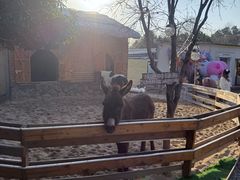 -HERRE·FARM 赫尔露营农场·团建聚会包场