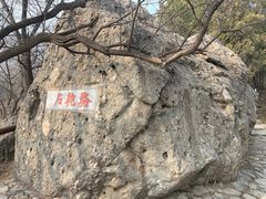 -阳台山自然风景区