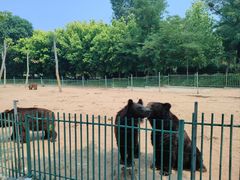 -秦皇岛野生动物园