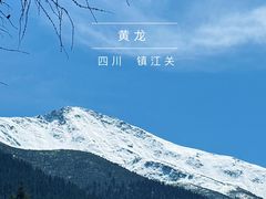 -黄龙山原始森林景区