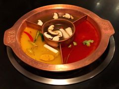 菌王奇香锅-滇釜火锅·能喝汤的火锅(车公庄店)