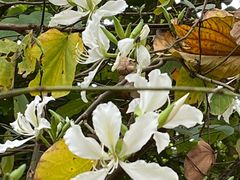 -广东外语外贸大学(白云山校区)