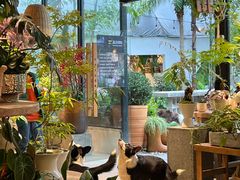 -自由生长植物工作室(深港花卉中心店)