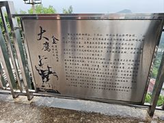 -大金鹰园