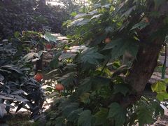 -南通洲际绿博园