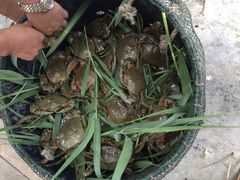-辉记虾塘海鲜农庄