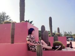 -漳州滨海火山岛自然生态风景区