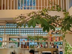 -花神·轻食简餐·咖啡馆·花卉绿植(荷兰花卉小镇店)