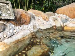 -咸宁万豪温泉谷度假区