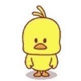 -果唯伊(共和新路店)