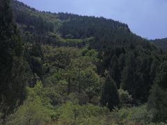 -龙洞风景区-藏龙涧