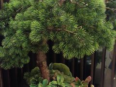 -见康道莱•足浴按摩•艾灸•SPA(友谊店)