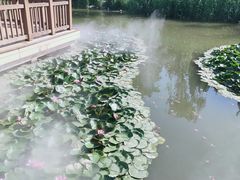 -宝鸡植物园