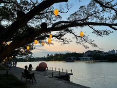 -江心屿景区
