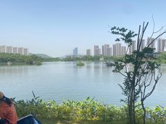 -洋湖国家湿地公园