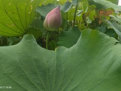 -大宁灵石公园西门票处