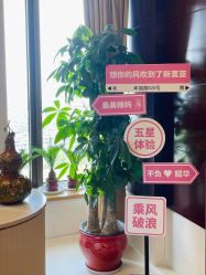 -新寰亚月子会所(金鸡湖凯宾店)