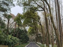 -采石矶景区