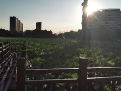 -海天湖公园