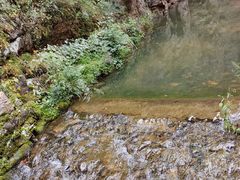 -湖洞水自然风景区