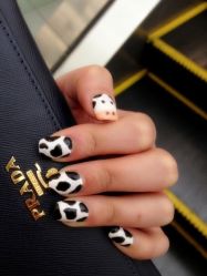 -IRIS爱蕊丝形象