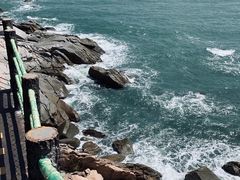 -广东惠东海龟国家级自然保护区