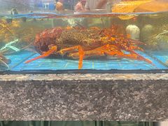 -聚福宝合苑食府(南头镇店)