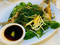 介末捞鲈鱼-华哥私厨-原醉琼楼