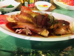 -格乐利雅婚礼艺术中心(南外滩店)