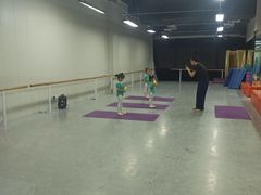 -舞蕾舞蹈(特长生校区)