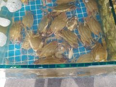 -蟹谢蒸鲜自助餐厅