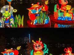 -美的鹭湖探索王国