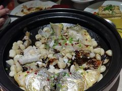 -湘满甲·黄焖甲鱼创始者·湘菜·鲁菜(潘家园店)